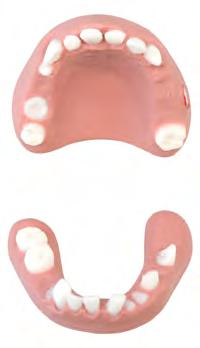 Tannprotese med tannsykdom gir opplæring i vurdering og behandling av munnhulen. Pasientholdning og posisjon kan enkelt stilles inn.
