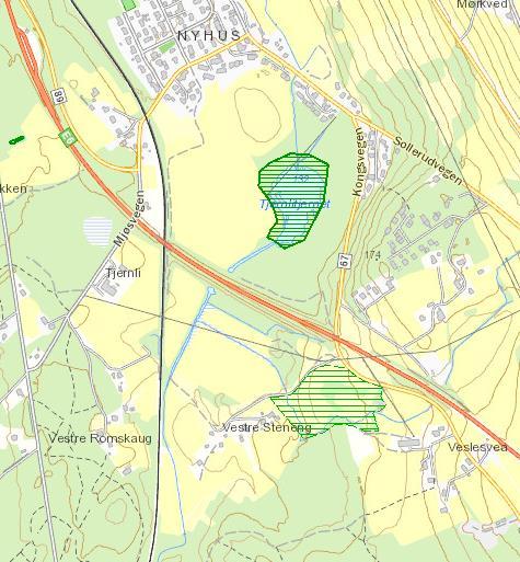 Figur 5. Utsnitt av Naturbase for området der Tjernlitjernet er registrert som rik kulturlandskapsjø og et område øst for V. Stenseng som hagemark. Kilde: www.naturbase.no.