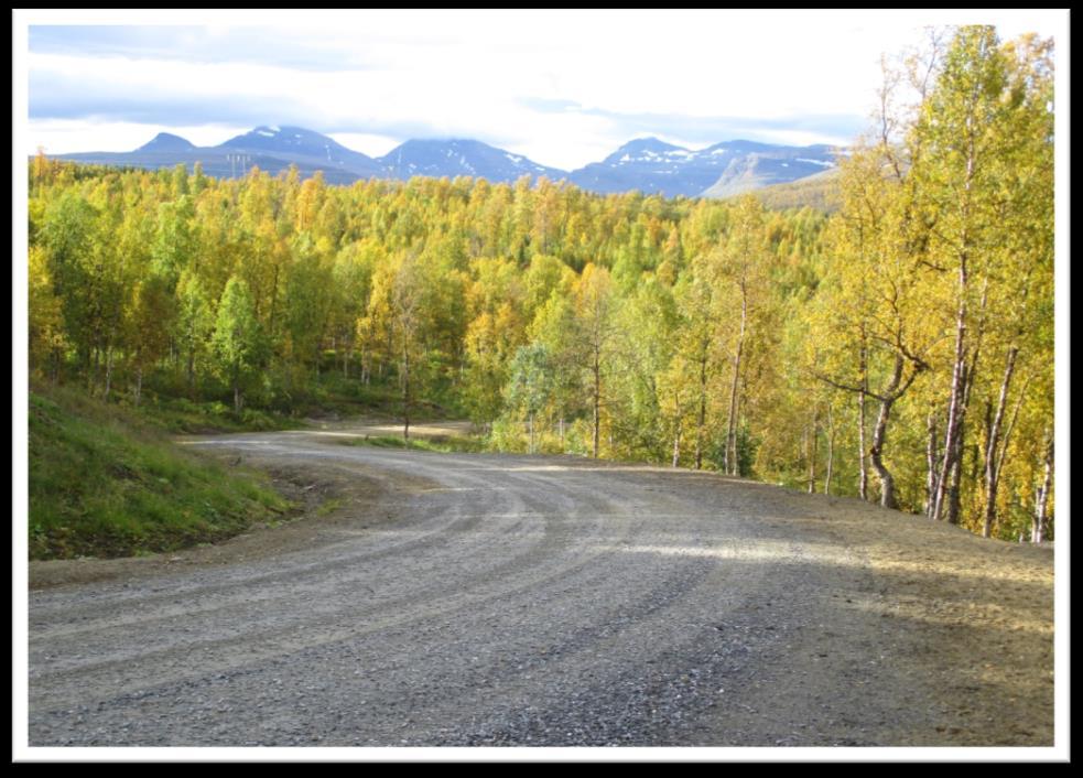 Regionalt skog- og klimaprogram (RSK) Skogen en kilde til verdiskaping og klimagevinst Hovedmål: