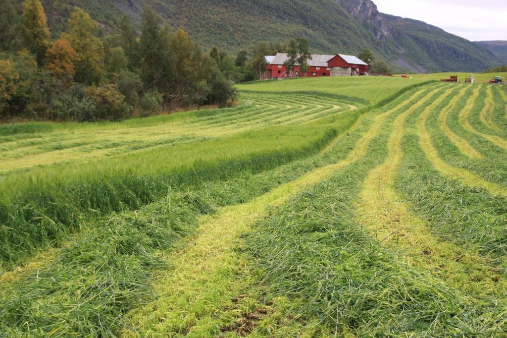 Regionalt matjordprogram Matjorda grunnlaget for det arktiske landbruket Vi er kanskje de eneste i Norge som har tatt med et ekstra delprogram i RBU Hovedmål: Ta vare på matjorda for varig