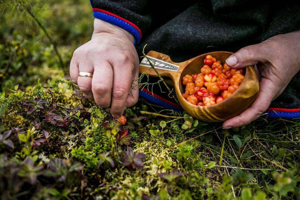 «KOMPETANSE er nøkkelen» Utfordringer Få helårs bedrifter Hobbybasert, ikke profesjonalisert Få, tilgjengelige samiske «hyllevarer» Ensidig fokus på kofte, rein, lavvu (også i
