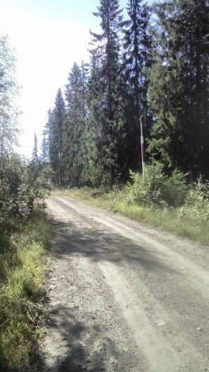 Skogsbilveier Mange veier med like nummer ØKS har opphavsregister og bestemmer nye nummer Lardal fikk
