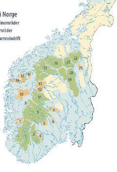 Delnormer og måleparametere Delnorm Bestandsforhold Lavbeiter Leveområde og menneskelig påvirkning Måleparameter Datokorrigert høstslaktevekt for simlekalv Antall eldre ( 3 år) bukker per voksen ( 1