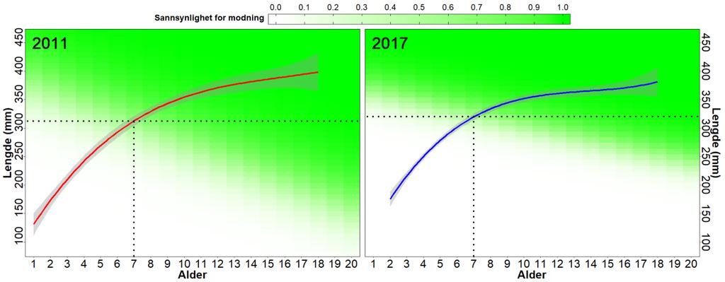 4.2.1.2 Vekst, alder, kjønnsmodning og kondisjon Veksten til siken synes å være relativt lik i 2011 og 2017 (figur 4.4).