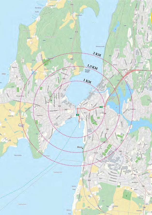 Innspill til planprogram og arealdel av kommuneplan 2020-2031 Rosnes er et område som ligger sentrumsnært, godt egnet til fortetting av bolig i småhusområder, som beskrevet i forslag til arealdel i