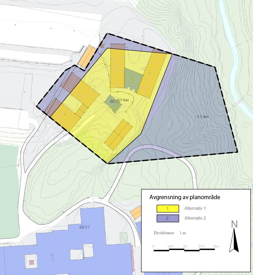 Detaljkart som viser planavgrensningen: Figur 2. Kartet viser to alternative avgrensninger av planområdet. Alternativ 1 forutsetter at det bygges et tårn.