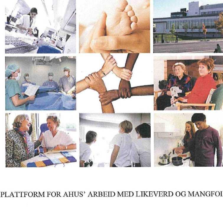 Plattform for Ahus i arbeid med likeverd og mangfold 2010 Målsettingen er at fokuset på innvandrerbefolkningens behov blir en naturlig del av: 1) sykehusets fire lovpålagte oppgaver