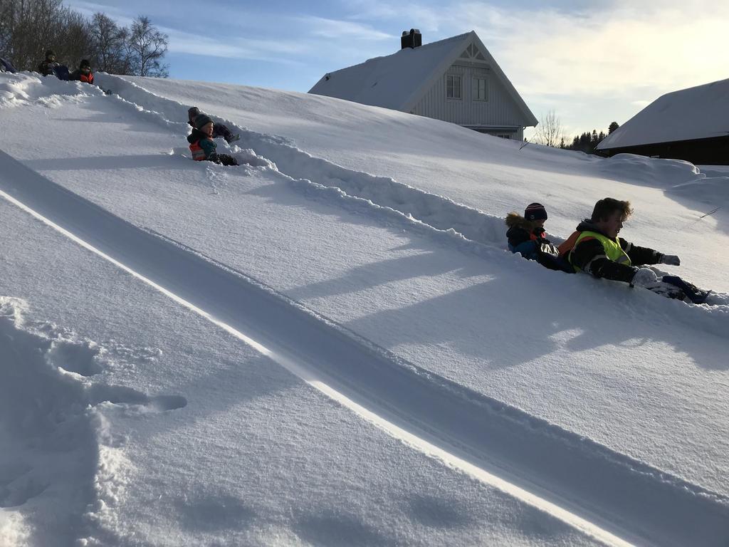 robuste barn gjennom risikofylt lek, felles