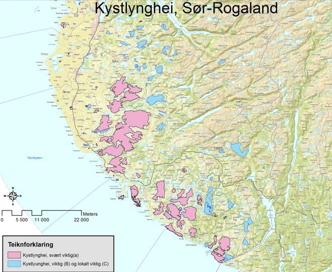 Side 148 Figur 46 Illustrasjon av kystlyngheiforekomster i Sør-Rogaland (Kilde: Fylkesmannen i Rogaland) Etter NVEs vurdering vil ikke de samlede inngrepene ha betydning for opprettholdelse