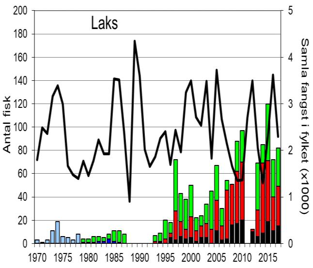 Skjel 2017 FANGST OG SKJELPRØVAR I FJÆRAELVA Fangststatistikk I perioden 1970-2017 vart det i gjennomsnitt fanga 19 sjøaure per år (figur 1, stolpar).