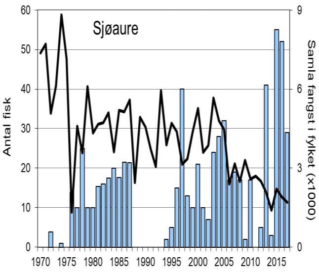 I 2015 og 2016 vart det fanga høvesvis 55 og 52 sjøaure, dei høgaste fangstane som er registrert. I 2017 vart det fanga 29 sjøaure (snittvekt 2,4 kg). Elva var totalfreda i 2011.