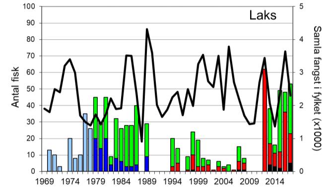 Skjel 2017 FANGST OG SKJELPRØVAR I OMVIKELVA Fangststatistikk I perioden 1969-1989 vart det i gjennomsnitt fanga 24 laks og 98 sjøaure per år (figur 1, stolpar).