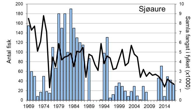 Etter at elva vart opna att for fiske i 2012, har fangstane av laks variert mellom 16 og 62, medan sjøaurefangstane har variert mellom 8 og 71.