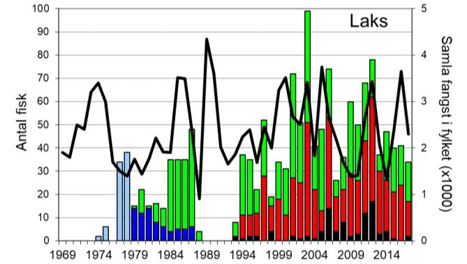 Skjel 2017 FANGST OG SKJELPRØVAR I ÆNESELVA Fangststatistikk I perioden 1969-2017 vart det i gjennomsnitt fanga 37 laks per år (figur 1, stolpar) i Æneselva, men mellomårsvariasjonen har vore stor.