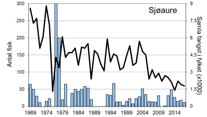 Variasjonen i fangst mellom år i Æneselva avvik ein god del frå det ein har sett i resten av fylket (figur 1, linje), men med lik tendens i enkelte periodar.