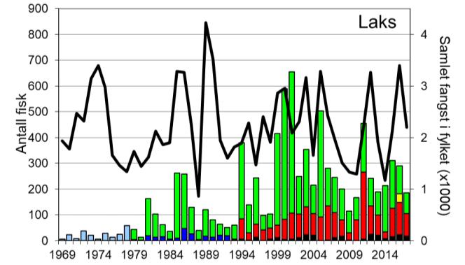 Skjel 2017 Fangststatistikk FANGST OG SKJELPRØVAR I OSELVA Gjennomsnittleg fangst av laks i perioden 1969-2017 er 175 (snittvekt 2,6 kg).