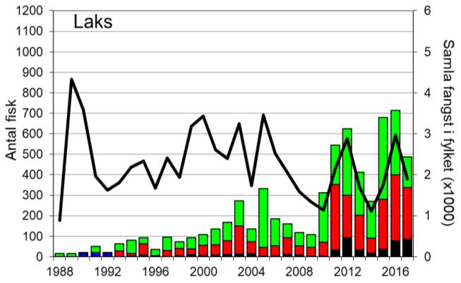 Skjel 2017 FANGST OG SKJELPRØVAR I STORELVA I ARNA Fangststatistikk I perioden 1988-2017 var gjennomsnittleg årsfangst 214 laks og 100 sjøaurar.