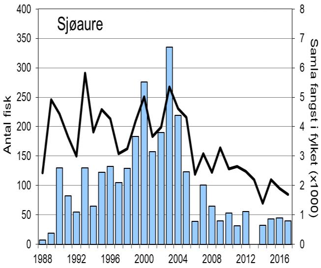 Dei siste 8 åra har laksefangstane vore større enn i åra før, snitt for 2010-17 er 506 laks per år.