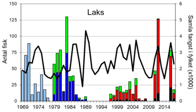 Skjel 2017 Fangststatistikk FANGST OG SKJELPRØVAR I EKSO Gjennomsnittleg årsfangst av laks 1969-2017 var 34 (snittvekt 5,9 kg), men det er fleire år utan registrert fangst (figur 1, stolpar).
