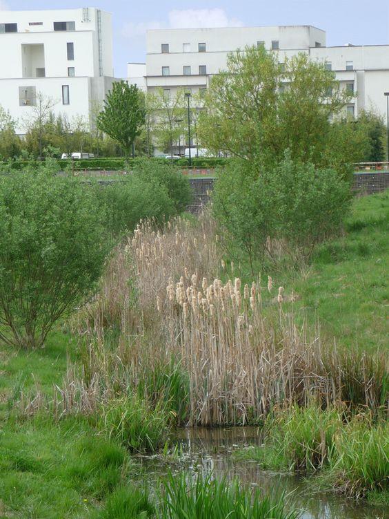 Møteplasser, arkitektur og