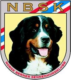 Norsk Berner Sennenhundklubb Arbeide for å styrke rekruttering av yngre bernereiere til klubben, også til verv og komiteer.