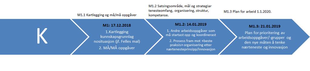 M1.2 Foreslå satsingsområde, mål og strategiar for Nye Øygarden kommune Ta omsyn til at den nye kommunen vil ha eit innbyggjartal på 40 000.