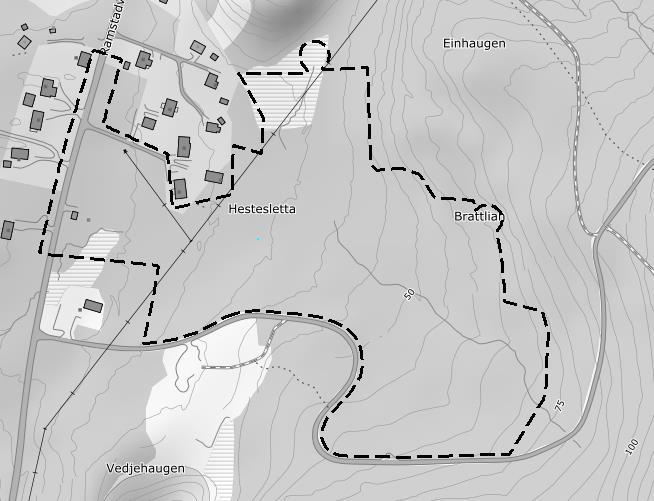 Plangrense ved høring og offentlig ettersyn - dagens arealbruk, landskap og vegetasjon Området er flatt skogkledd terreng i nedre del mot fylkesveien og terrenget stiger slakt oppover mot Brattlian.