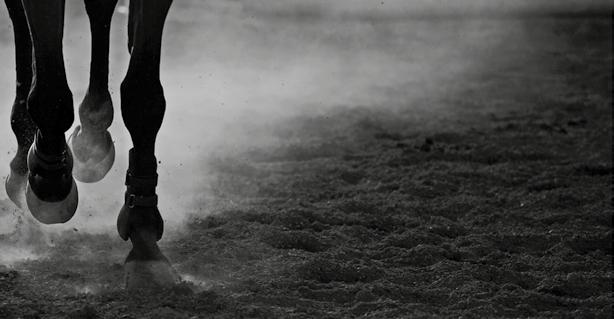 Bli medlem av Øvrevoll Hesteeierforening Øvrevoll Hesteeierforening arbeider for deg som hesteeier og vi har følgende medlemsfordeler: Gratis program ved fremvisning av medlemspinen.