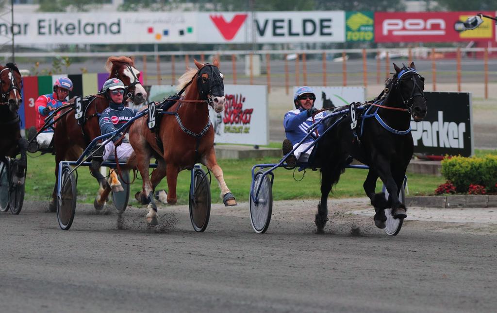 no ORUS TRAV AS Styre Atle Erga (leder), Ida Beate Vikse (nestleder) Sindre Skårdal, Trond Olav Salte, Per Dag Hole Charlotte Svendsen (1. vara), Anja Rosland (2.