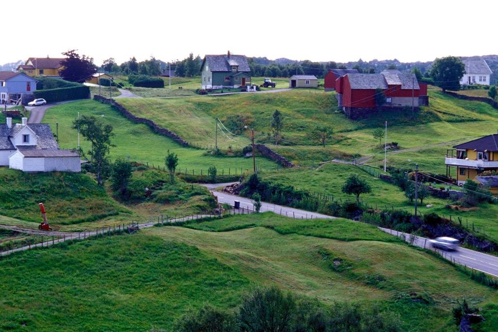 20 Figur 5. Typisk eksempel på overflatedyrka jord, med tynt jorddekke og noe fjell i dagen. (Askøy) Foto : Oskar Puschmann / NIBIO. 4.