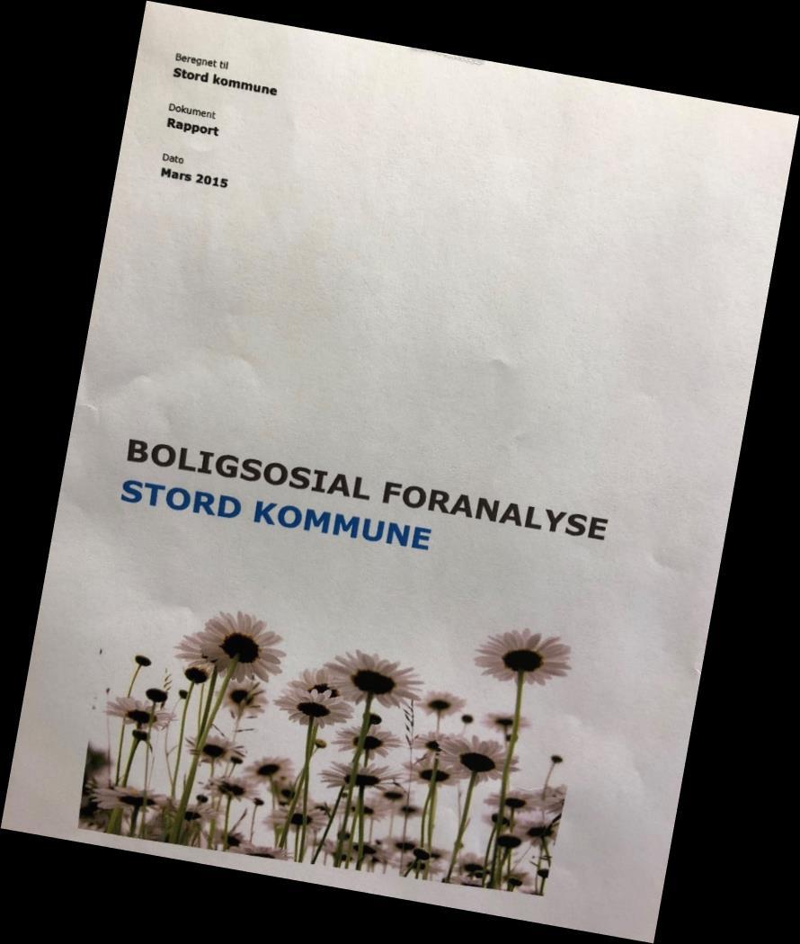 Bustadsosial foranalyse, Rambøll 2015,