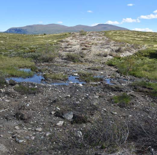 tilbakføres til naturen.