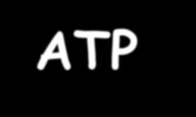 29 ATP - 2 ATP kan måles med bioluminesens i nærvær av luciferin som dannes av luciferase.