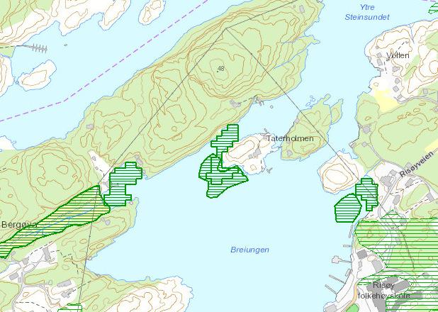 Kartutsnitt: Naturbasen viser prioriterte naturtyper vest for Vestre Taterholmen, planområdet berøres ikke. 3.