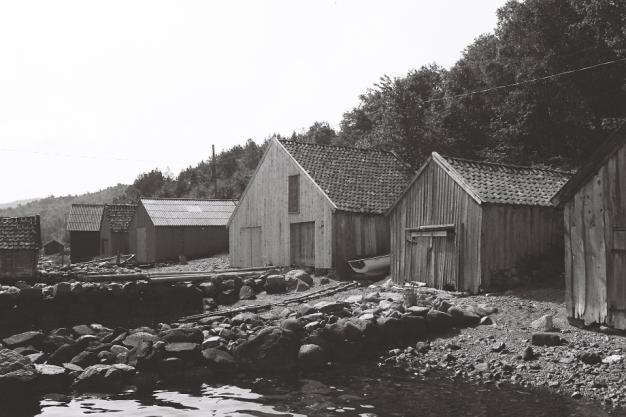 (1102-030-097) Lauvåsvågen 1980, 2002 og 2007.