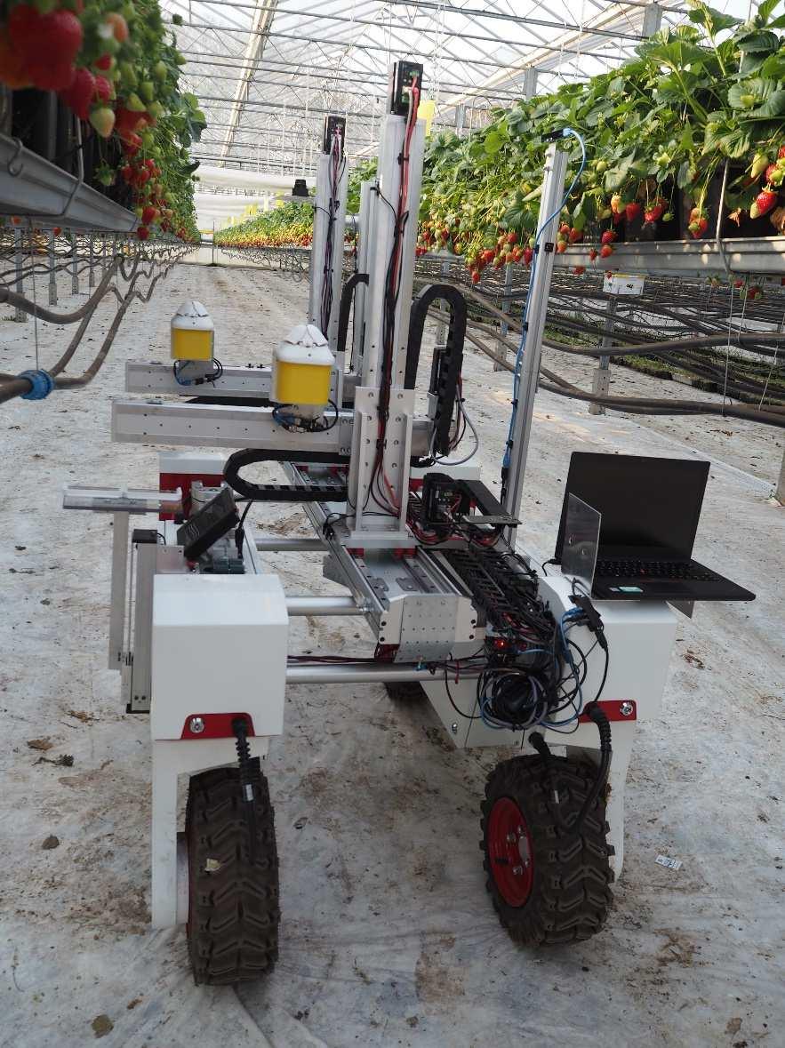 Strawberry Harvesting Robots Version