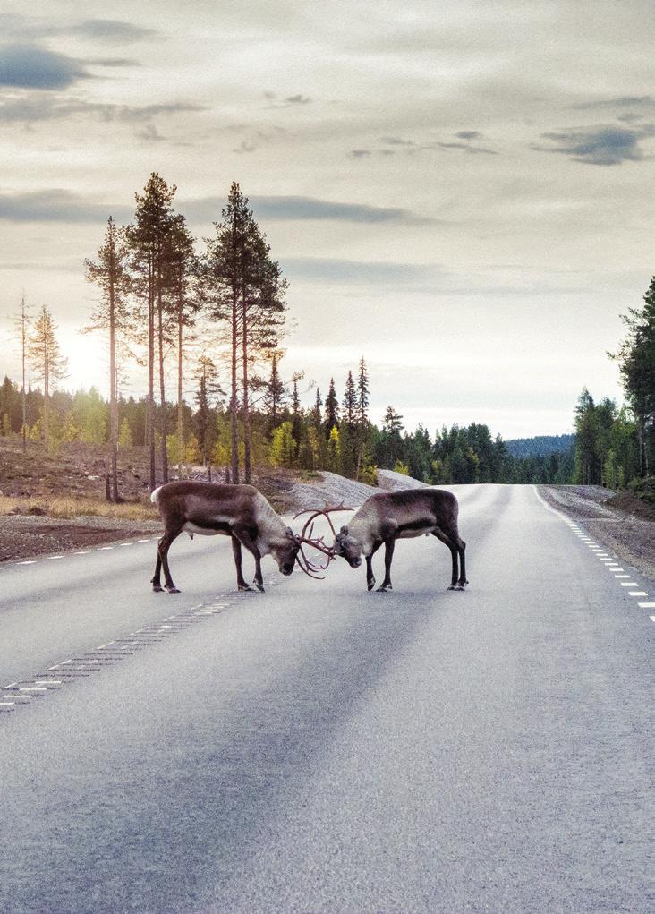 If Skadeforsikring har inngått samarbeidsavtale med advokatkontorene i Eurojuris Norge.