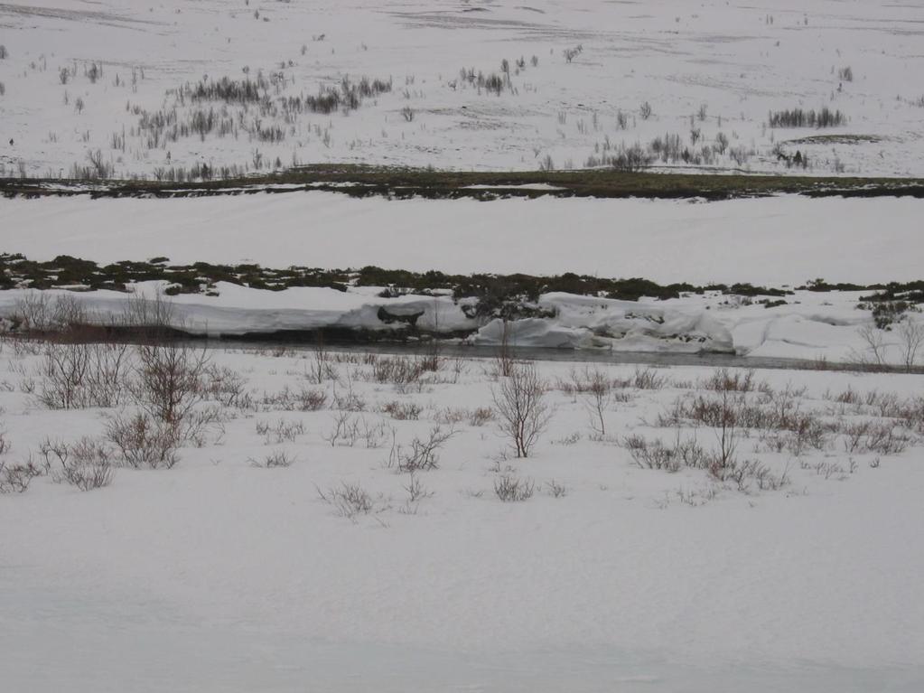 Vintertapping medfører at Einunna går oppe flere km nedover Einunndalen.