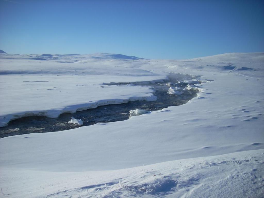 Foto: Fjelloppsynet.