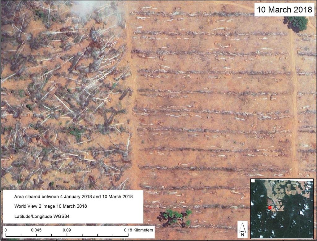 kan ses til venstre på bildet. Land som er blitt ryddet tidligere, der trestammer og hogstavfall er lagt i rader, kan ses til høyre på bildet.