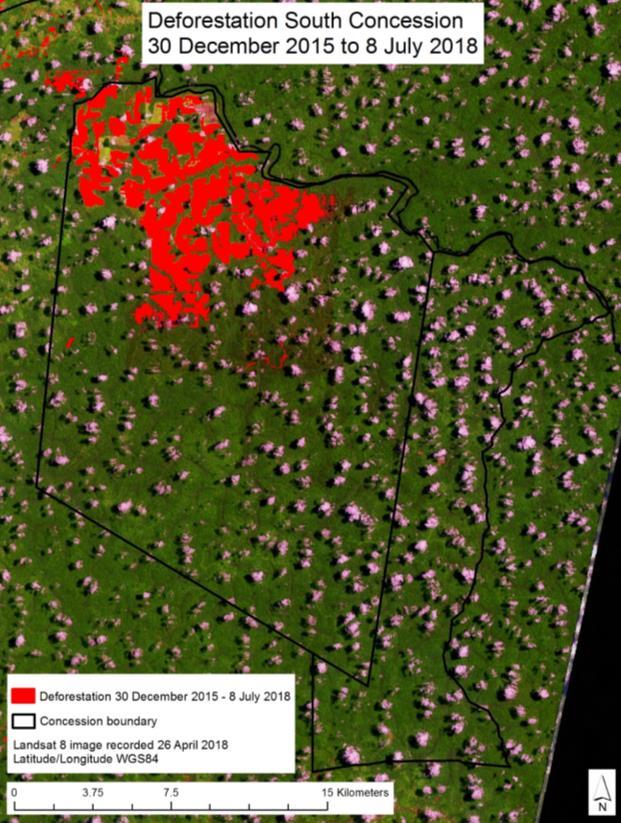 Satellittbilder viser et tett skogdekke i de delene av konsesjonsområdet som ennå ikke er utviklet (se Figur 3). Figur 4: Røde områder viser skog som er ryddet mellom 30. desember 2015 and 8.