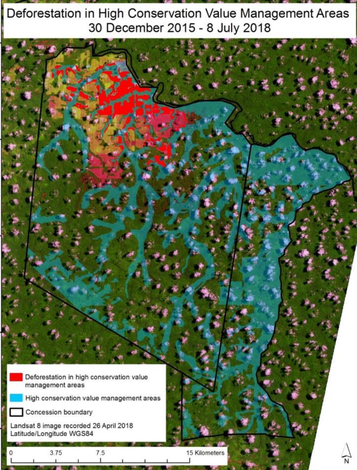 Figur 7: Røde områder viser HCV områder som er blitt avskoget i den midtre og sørlige konsesjonen fra 3. desember 2015-8. juli 2018.
