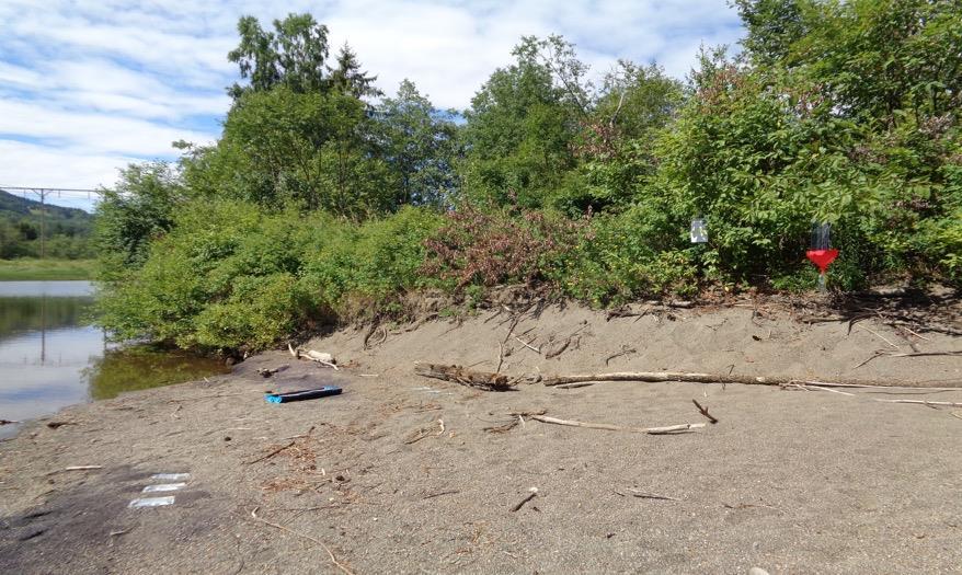 Innledning Dokkadeltaet Våtmarkssenter AS arbeider med kartlegging av naturmangfold med hovedvekt på viktige arter og naturtyper, skjøtsel og naturrestaurering.