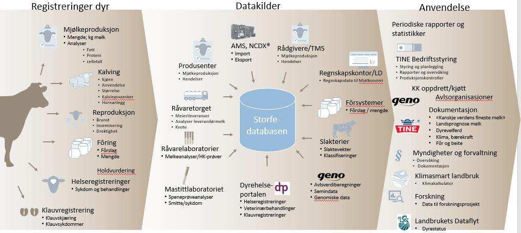 STATISTIKKSAMLINGEN 2018 I statistikksamlingen for 2018 inngår statistikker basert på informasjon fra Kukontrollen og Geitekontrollen. 5.