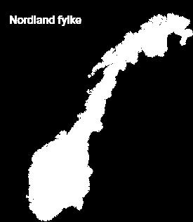 Nordland 20 % 4. Troms Aldersmessig er det forskjeller i hvilke fylker de ville feriert i med unntak av Nordland som er det flest ville reist til.