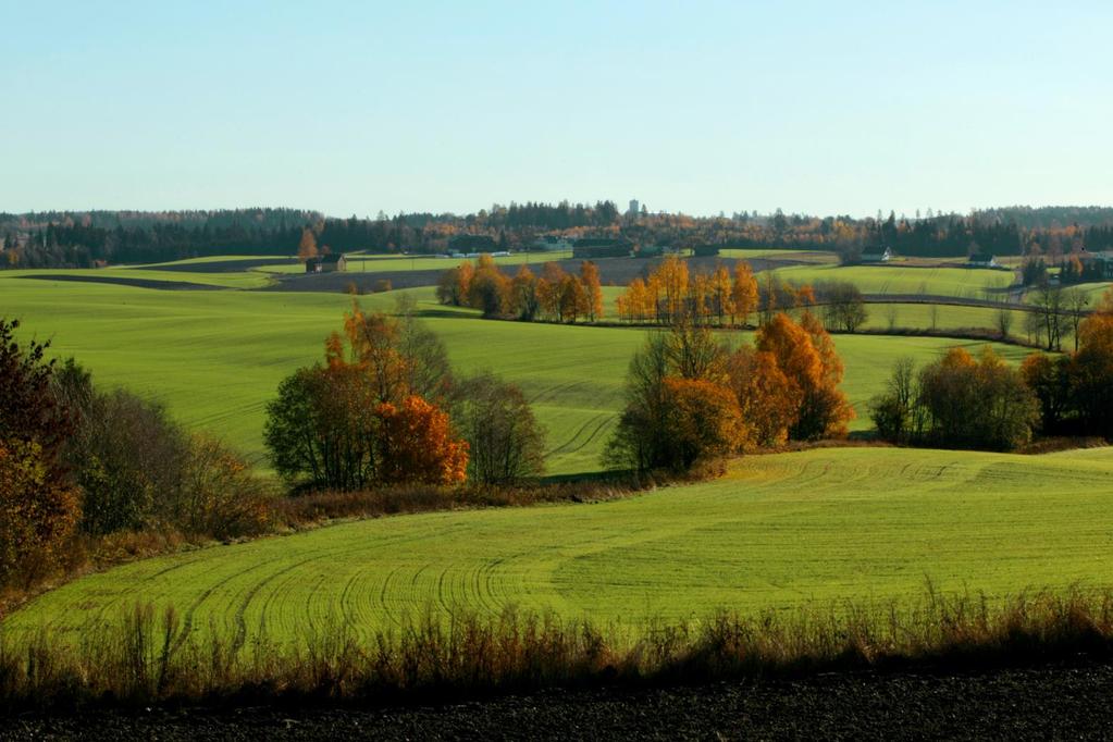 Norsk institutt for bioøkonomi (NIBIO) ble opprettet 1. juli 2015 som en fusjon av Bioforsk, Norsk institutt for landbruksøkonomisk forskning (NILF) og Norsk institutt for skog og landskap.