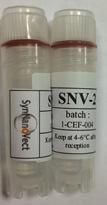 PRICE SNV-1 ptimized for the transfection of HepaRG cell line 1 ml ( 100