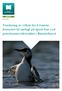 Vurdering av vilkår for å ivareta hensynet til sjøfugl på åpent hav ved petroleumsvirksomhet i Barentshavet