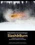 Slash&Burn Fotografier av Terje Abusdal og autentiske skogfinske neverarbeider