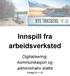 Innspill fra arbeidsverksted